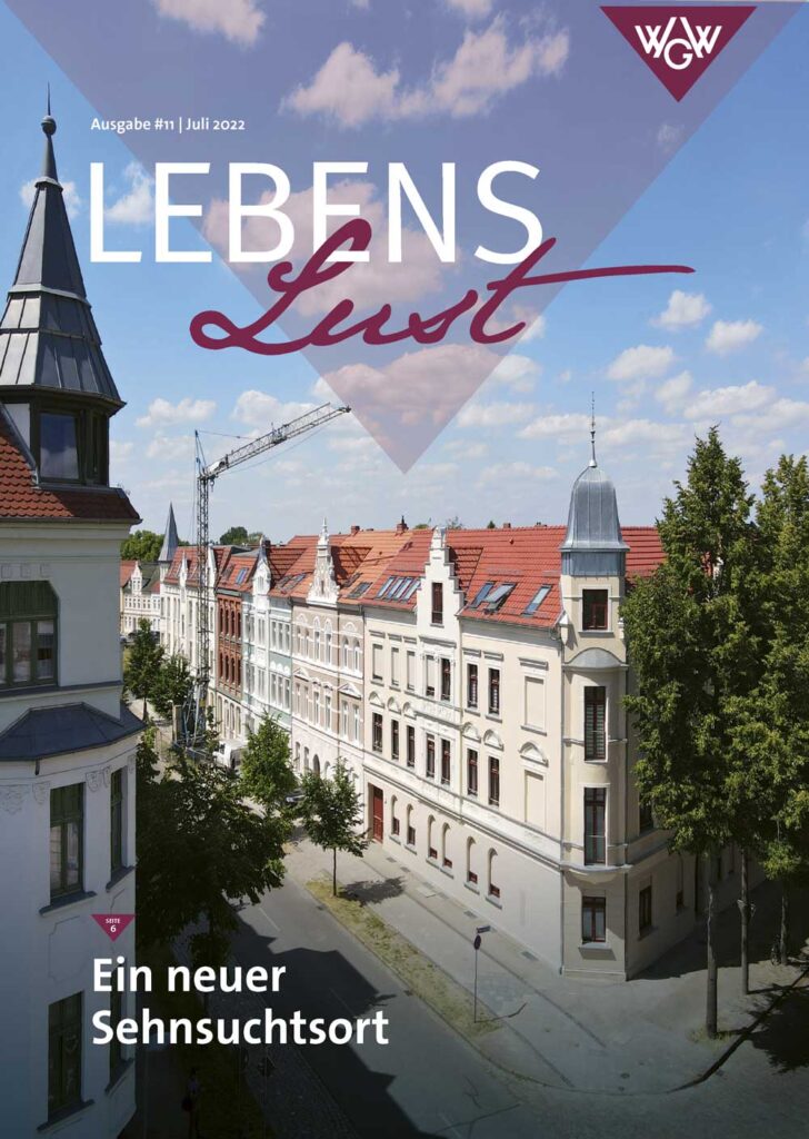 Projekte lebenslust 11 druck 1